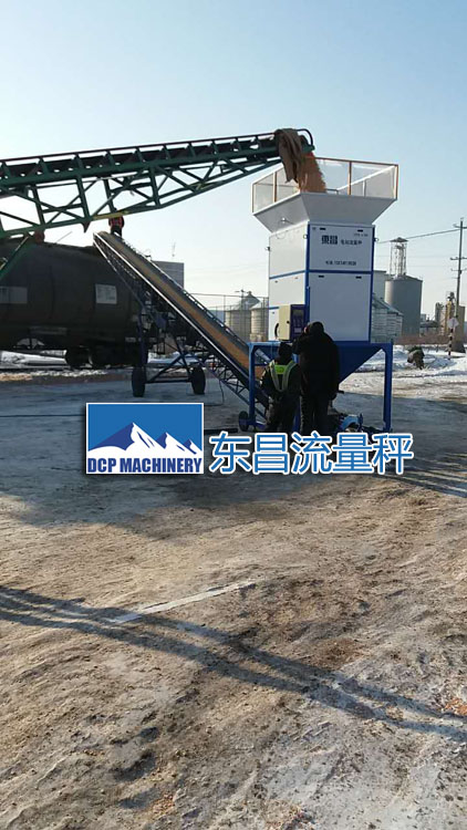 吉林糧食流量秤DCS-L100，50